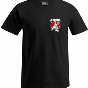 Pánske tričko - verzia 2